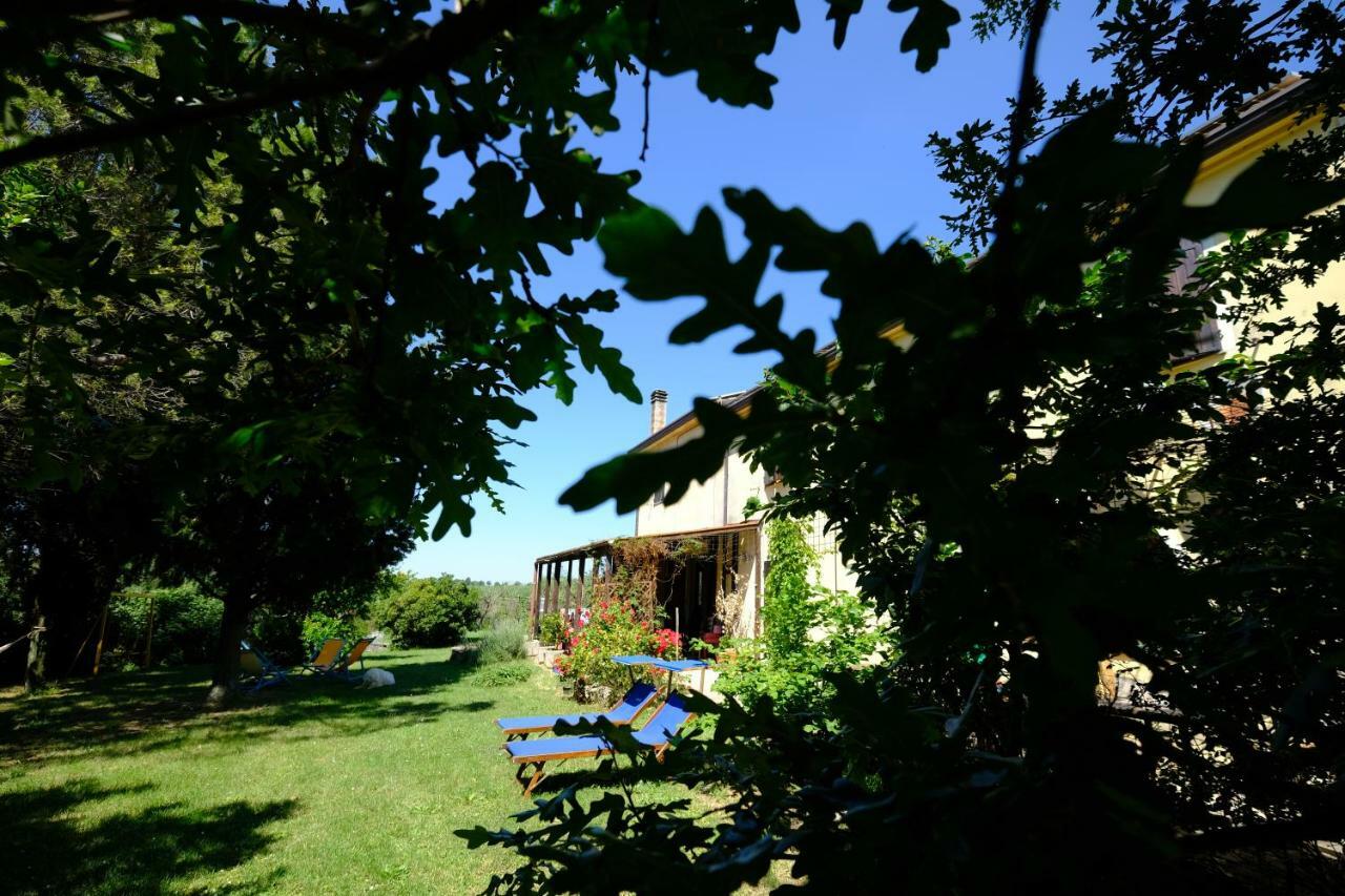 Casa Monteluro - B&B Tavullia Exteriör bild